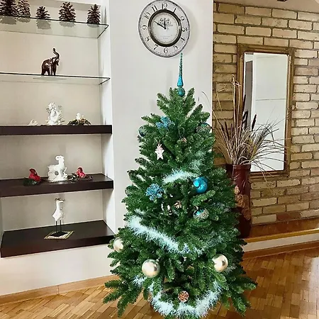Angel House Vilnius, 32 דירה וילנה